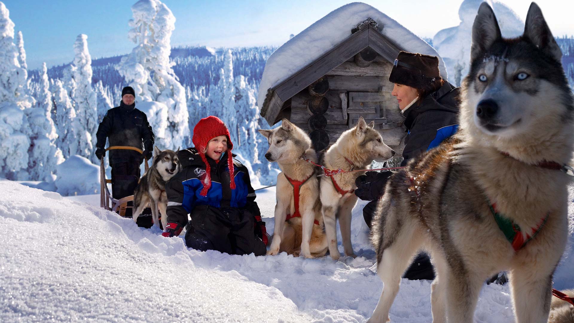 Lapland Family Packages : Family friendly tours with children in Lapland :Nordic Visitor