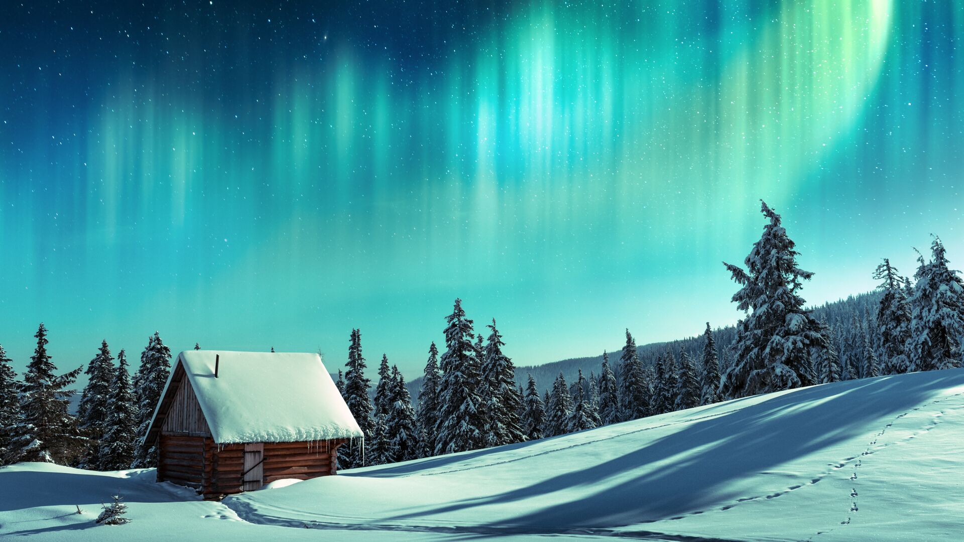 Northern Lights Norway December 2024 Jorie Malinda