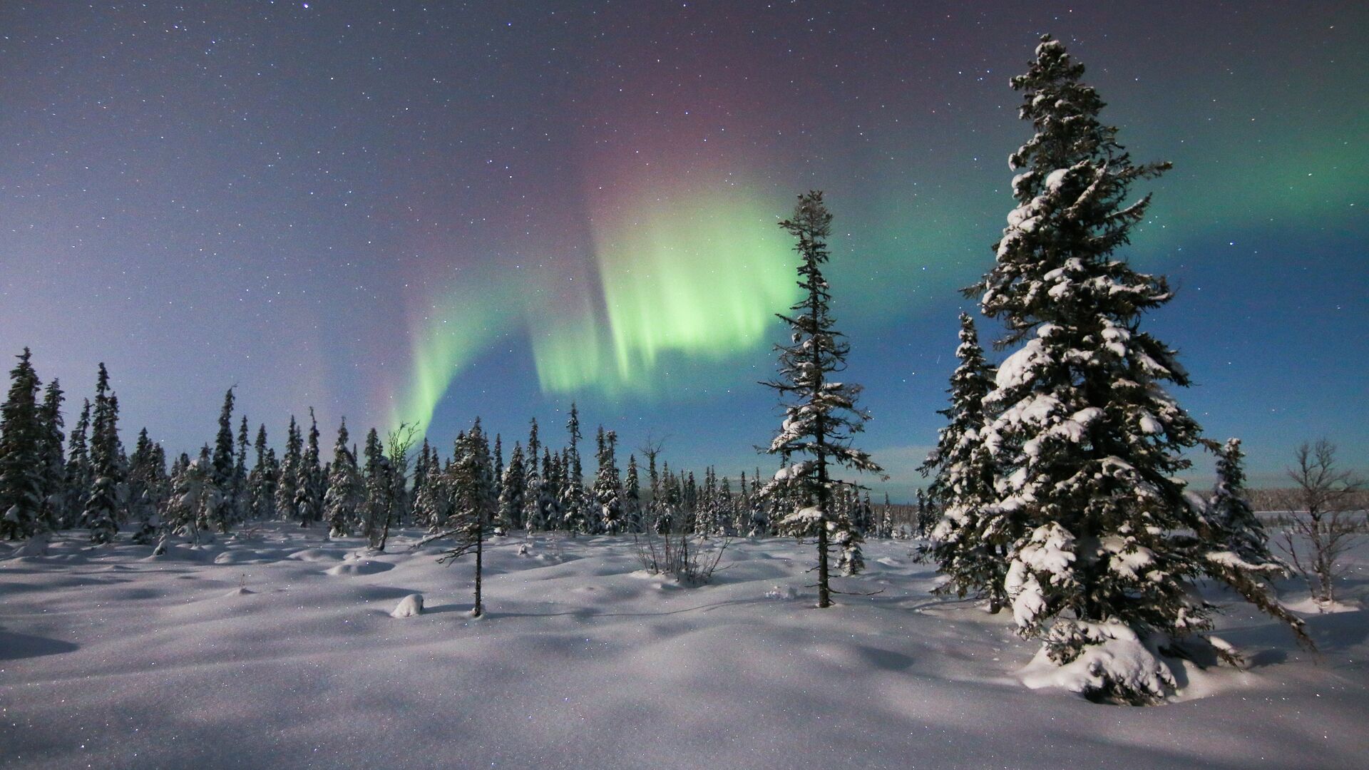 5 Day Multi-Day : Classic Lapland Adventure & ICEHOTEL : Nordic Visitor