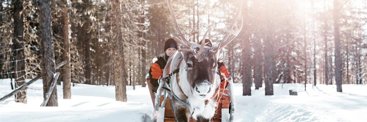Reindeer Safari in Lapland©lapland hotels