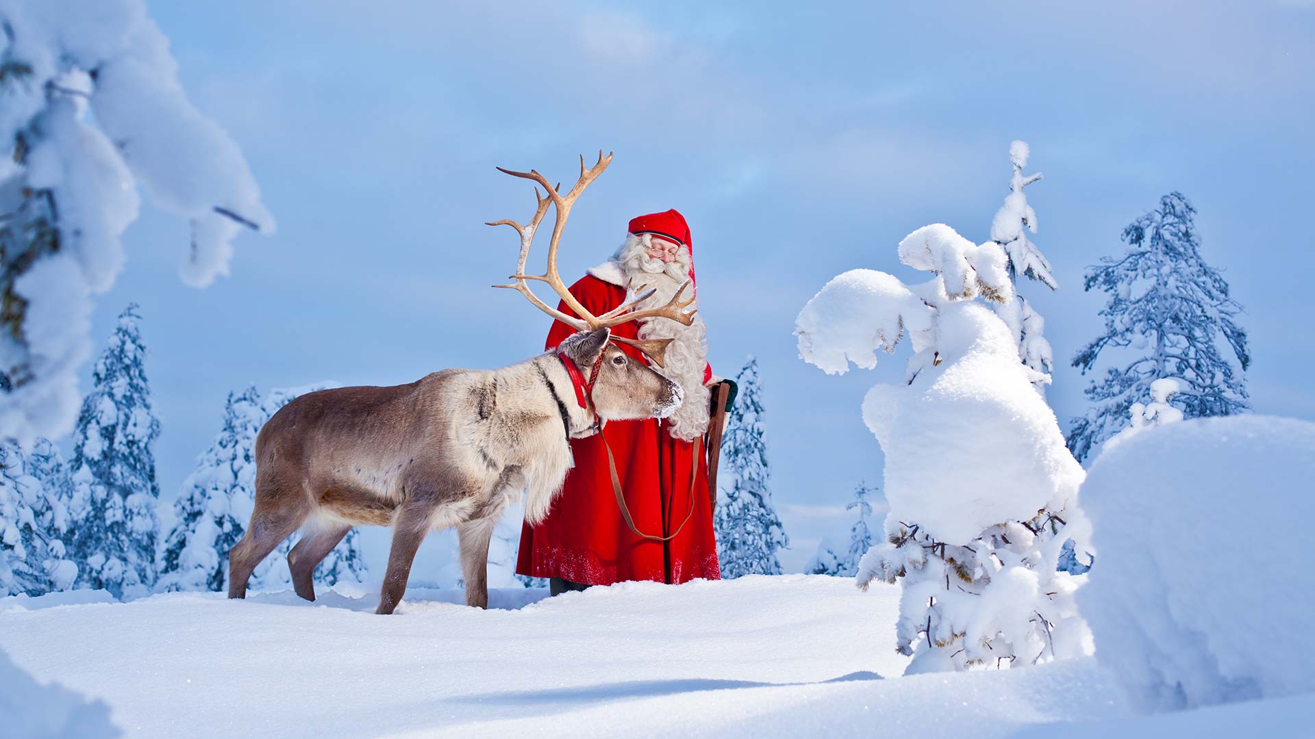 Santa And Reindeer Rovaniemi 3©visitrovaniemi.fi 